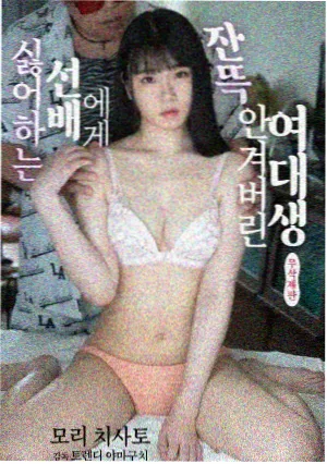 庆余年 高清电视剧在线观看